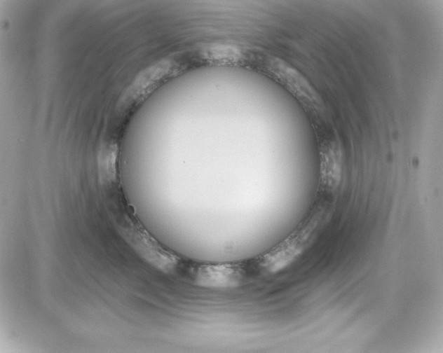 X0000081580717200701221028