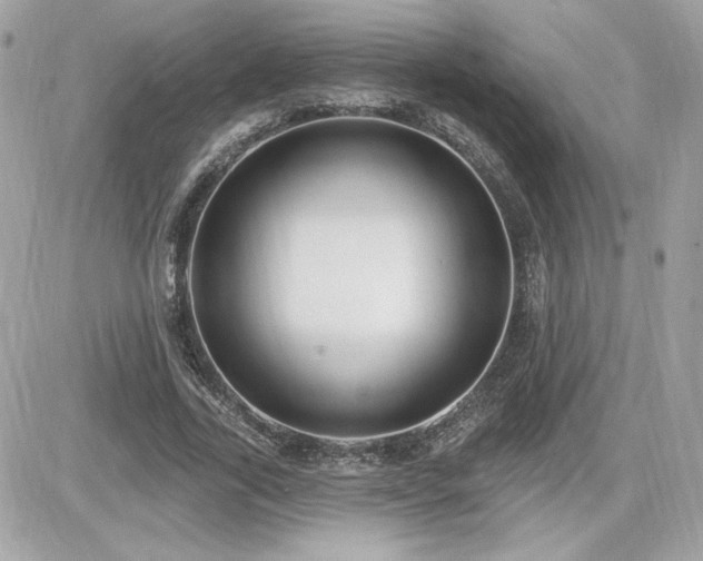 X0000081580731200701221027