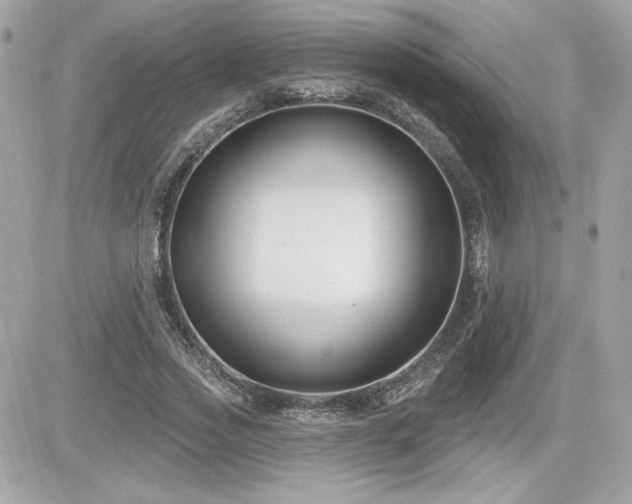 X0000081580733200701221027