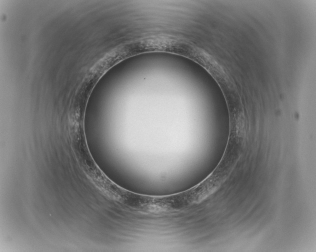 X0000081580737200701221027