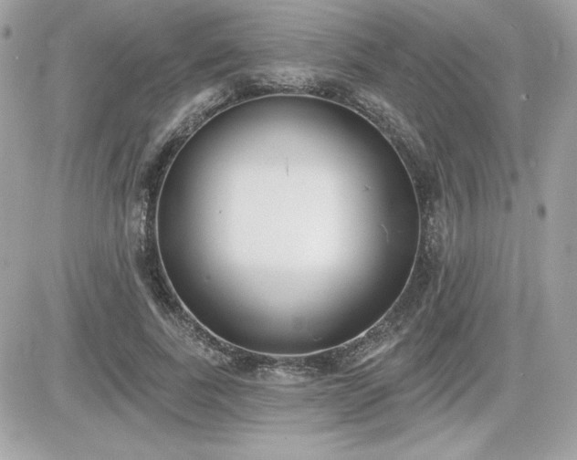 X0000081580739200701221027