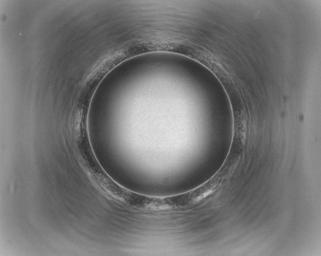X0000081580742200701221027