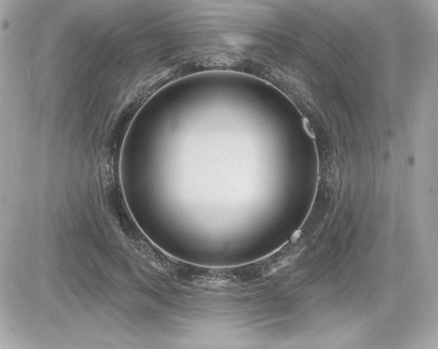 X0000081580743200701221027