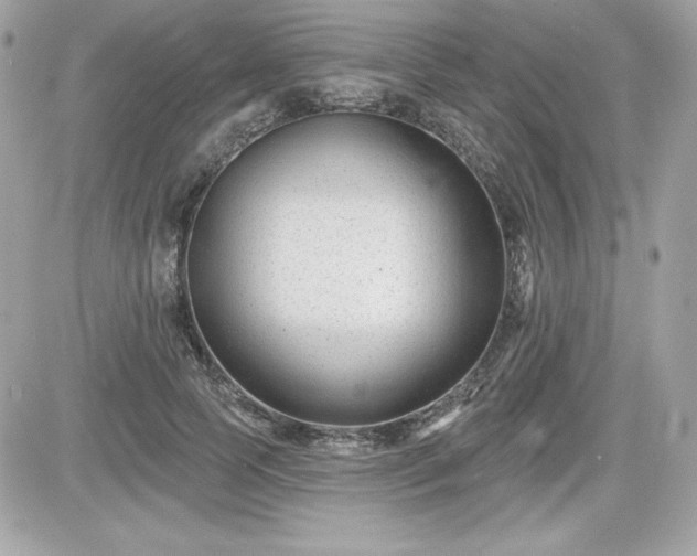 X0000081580745200701221027