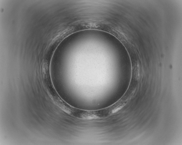 X0000081580747200701221027