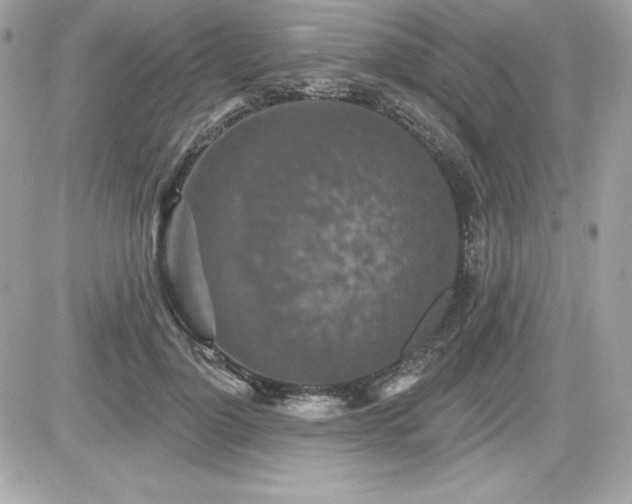 X0000081580748200701221027
