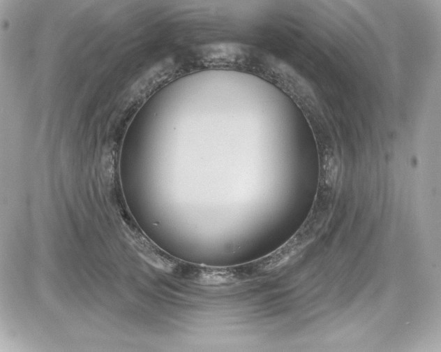 X0000081580753200701221028