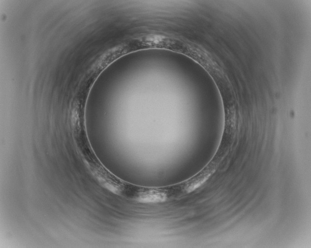 X0000081580754200701221028