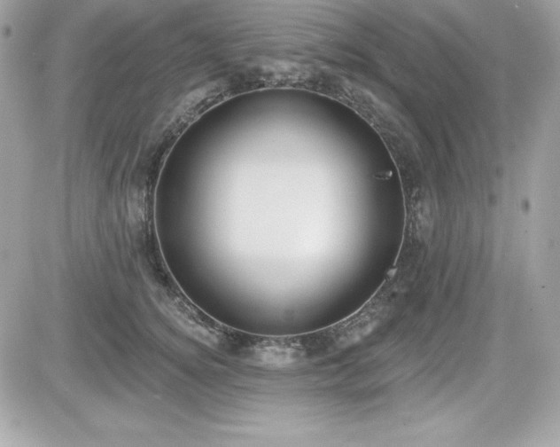 X0000081580756200701221028
