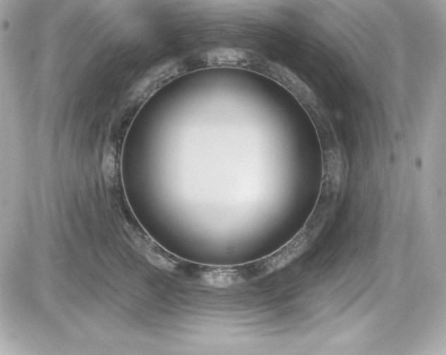 X0000081580761200701221028