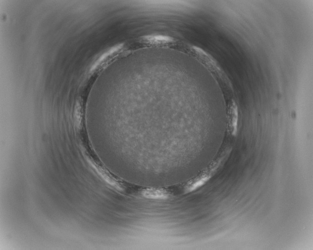 X0000081580762200701221028