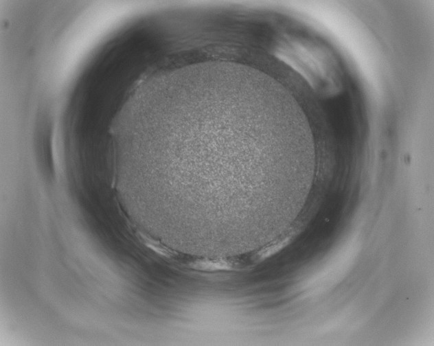 X0000081580765200701221028