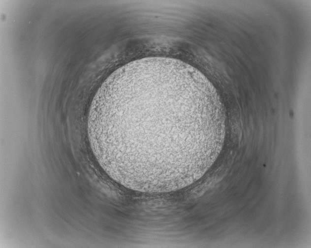 X0000081580769200701221027