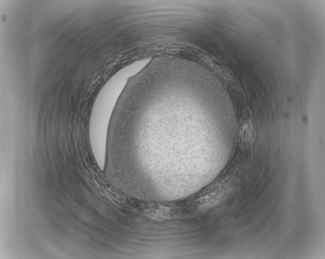 X0000081580772200701221027