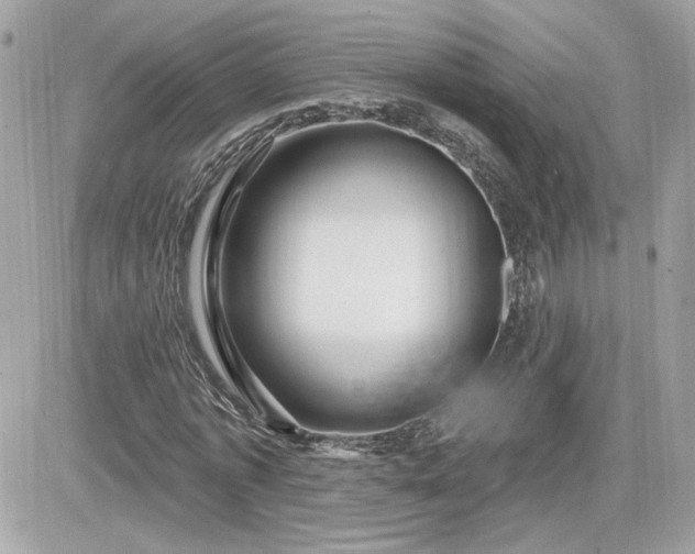 X0000081580773200701221027