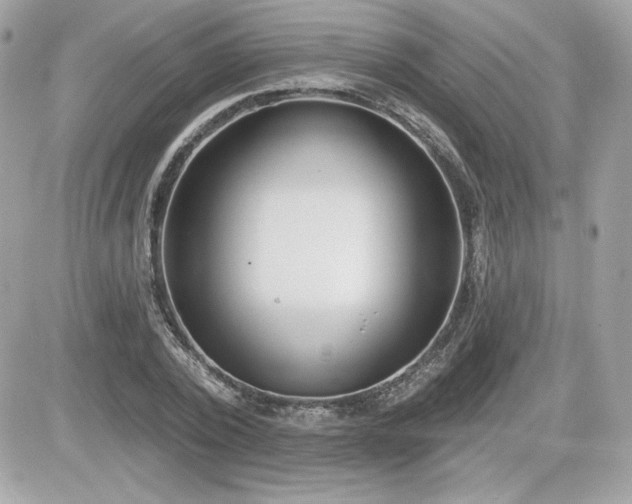 X0000081580784200701221027
