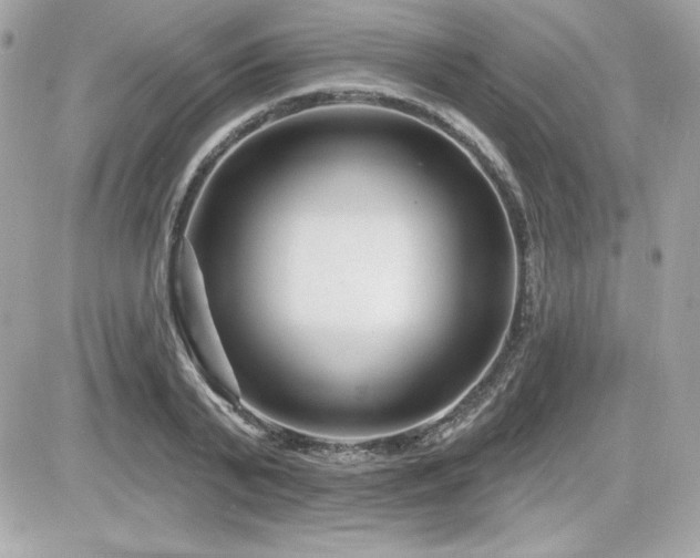 X0000081580791200701221027