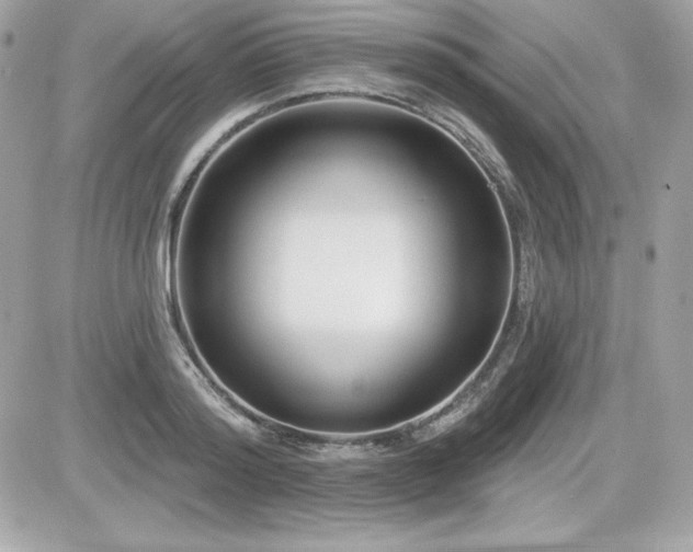 X0000081580796200701221027