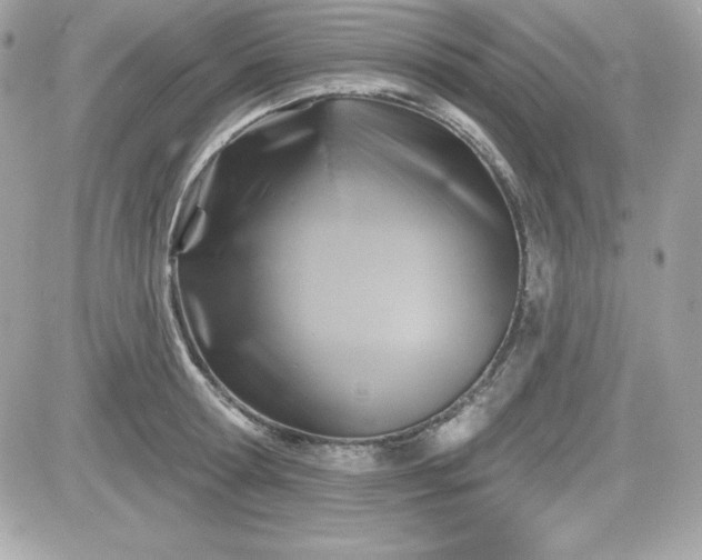 X0000081580802200701221026