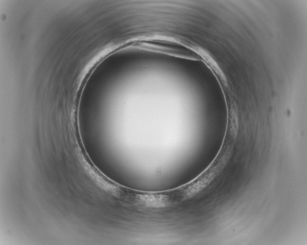 X0000081580805200701221026