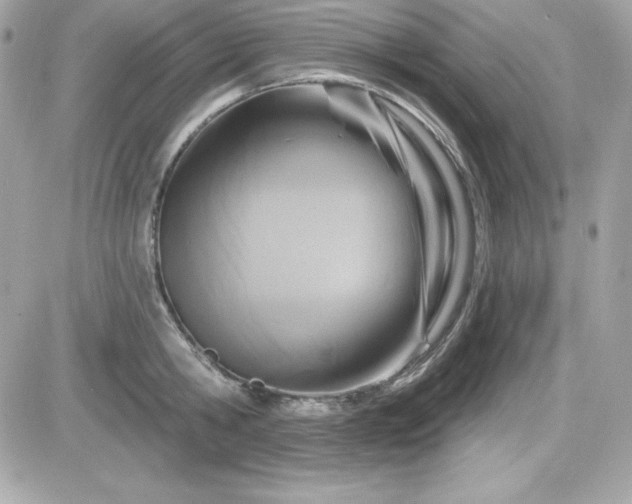X0000081580806200701221026
