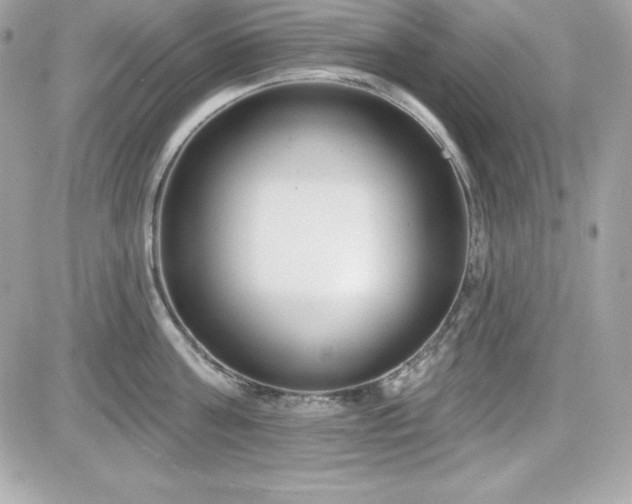 X0000081580811200701221026