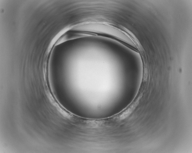 X0000081580812200701221026