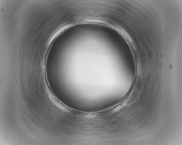 X0000081580814200701221026