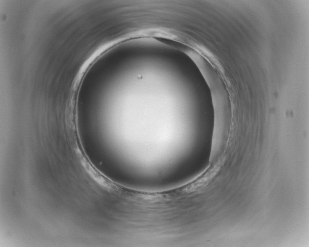 X0000081580816200701221026