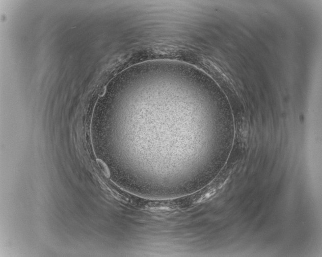 X0000081580817200701221025