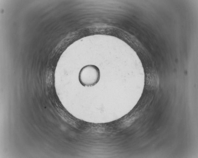 X0000081580820200701221025