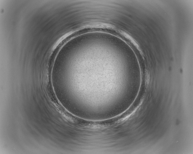 X0000081580829200701221026