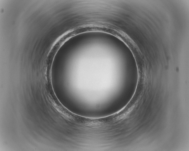 X0000081580830200701221026