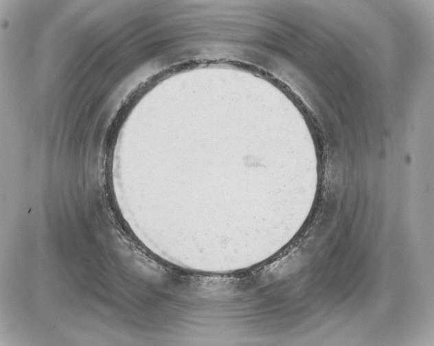 X0000081580832200701221026