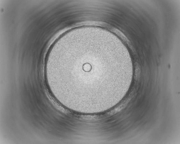 X0000081580836200701221026