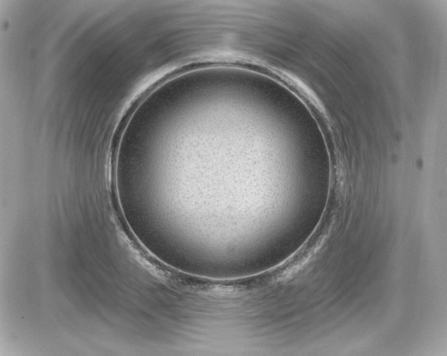 X0000081580839200701221026