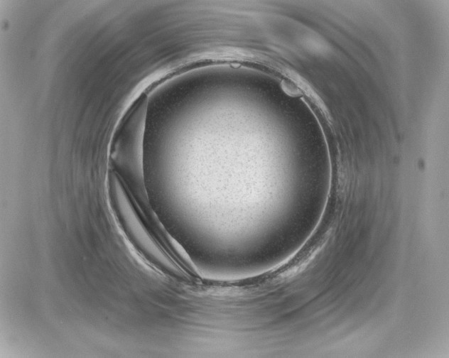 X0000081580845200701221026