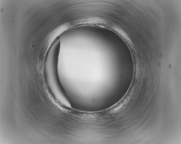 X0000081580850200701221026