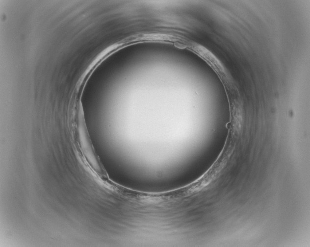 X0000081580852200701221026