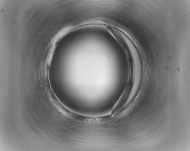 X0000081580858200701221026