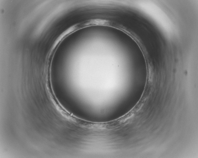 X0000081580861200701221026