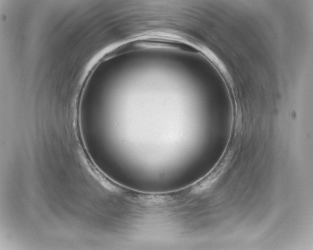X0000081580862200701221026