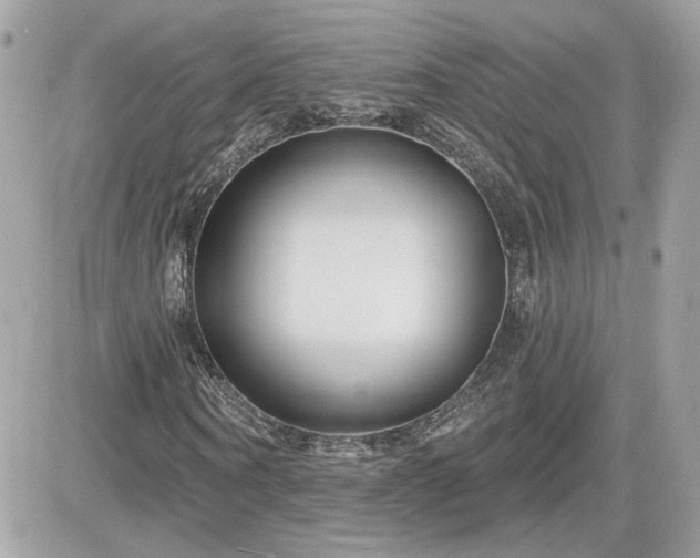 X0000081580866200701221025