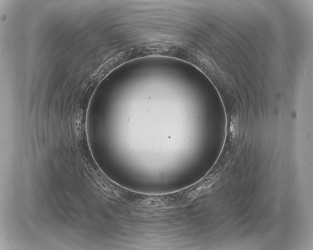 X0000081580867200701221025