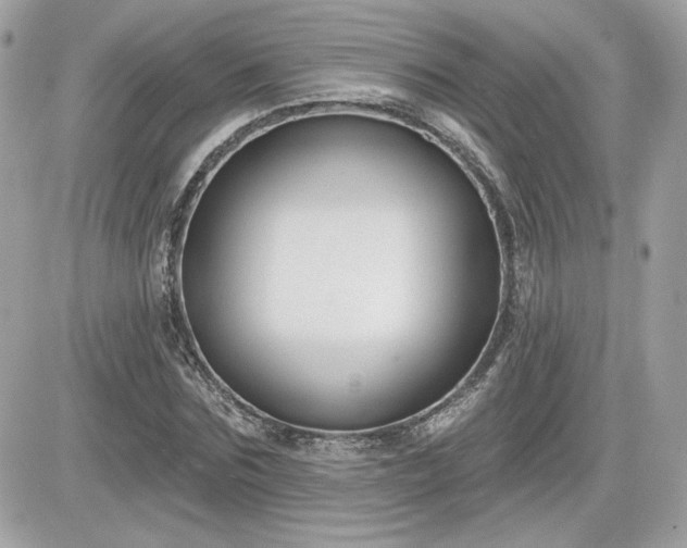 X0000081580875200701221025