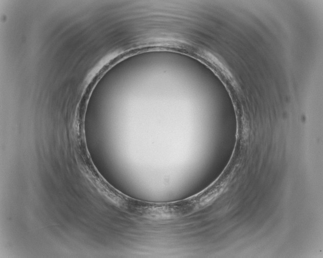 X0000081580883200701221025