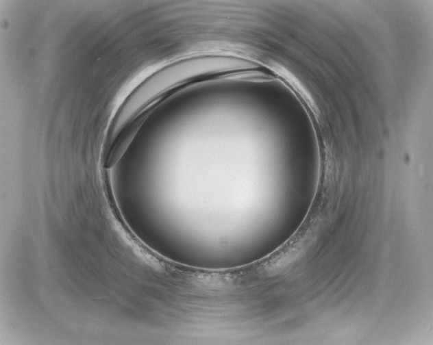 X0000081580901200701221025