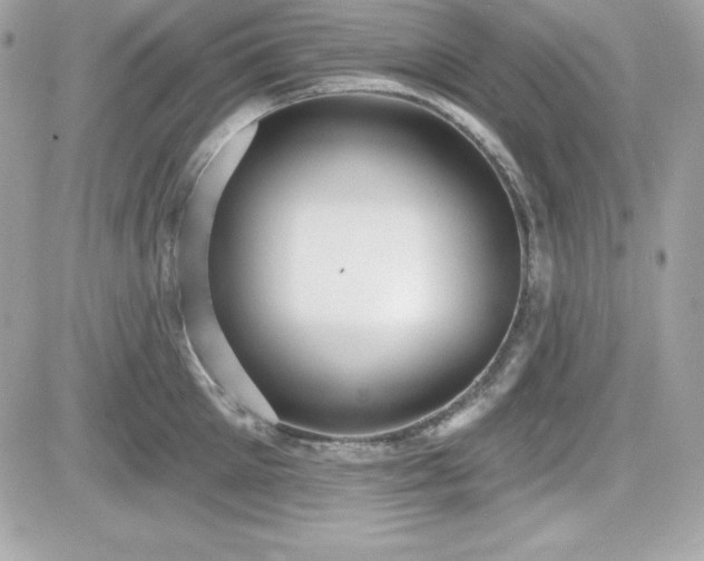 X0000081580905200701221025