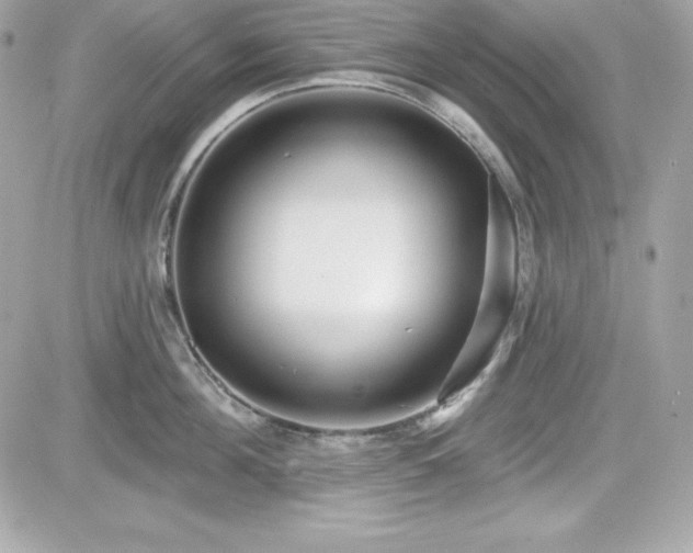 X0000081580908200701221025