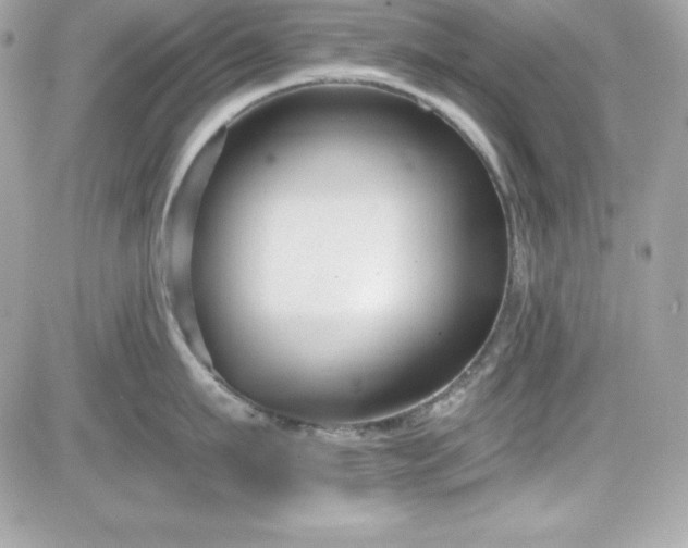 X0000081580911200701221025